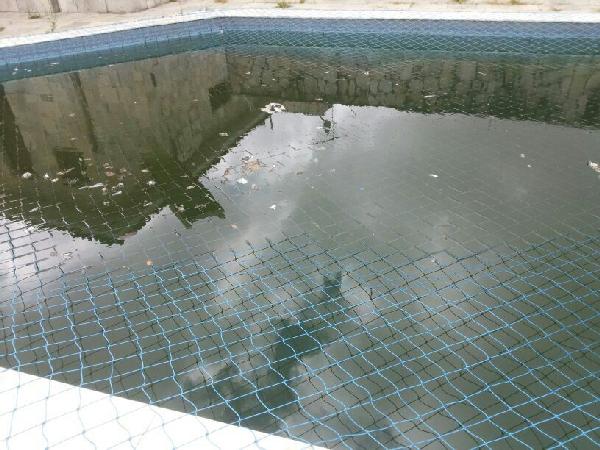 Foto mostra a gua da piscina podre e o lodo j toma conta dos azulejos